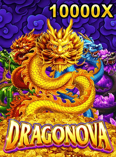 vipq79 vipq79